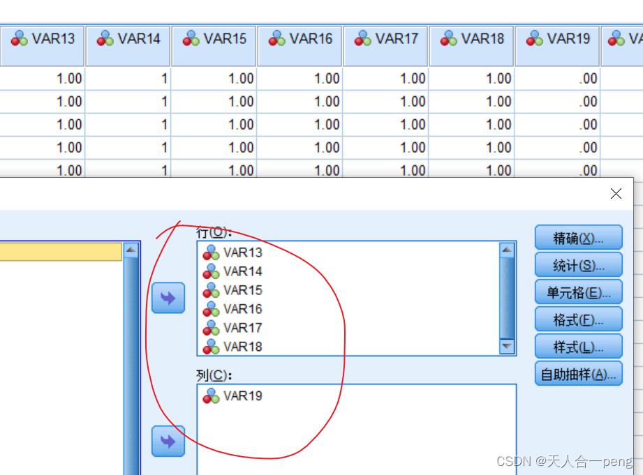 SPSS