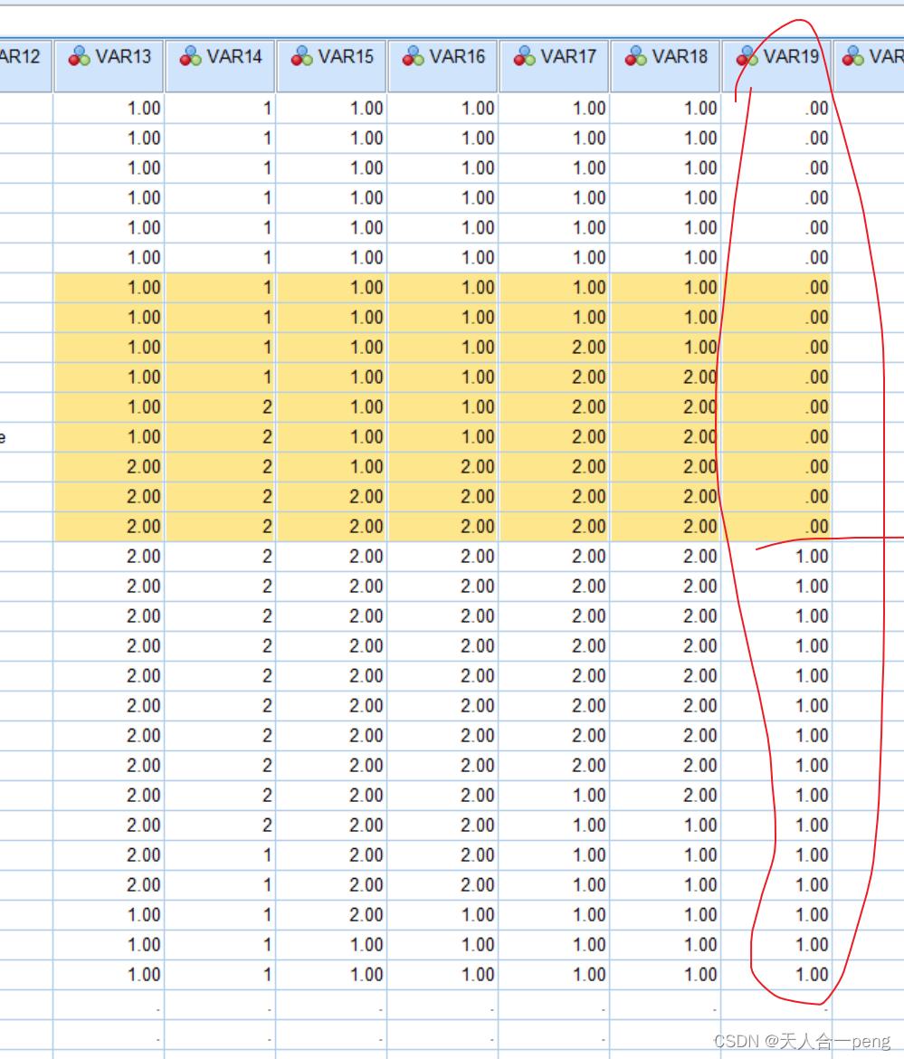 SPSS