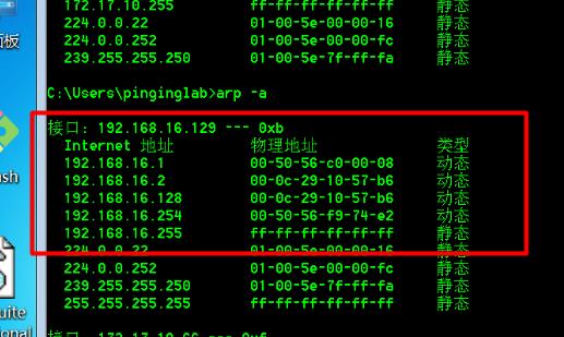 web安全入门-arp测试与防御_arp中间人欺骗_02