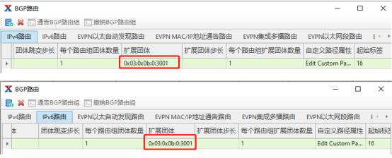 干货！如何使用仪表构造SRv6-TE性能测试环境_应用场景_13