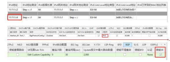 干货！如何使用仪表构造SRv6-TE性能测试环境_5g_07