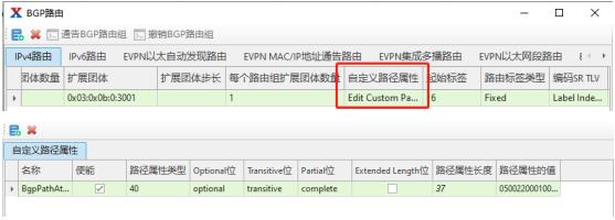 干货！如何使用仪表构造SRv6-TE性能测试环境_显式_15