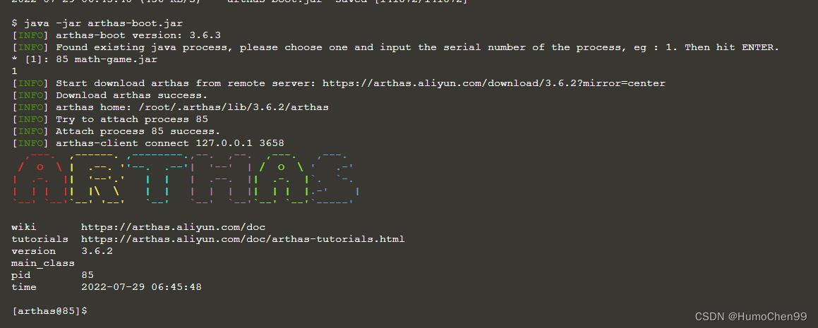 java生产环境调试、问题排查神器arthas(阿里中台开源的)_问题排查