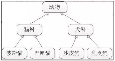 java之继承精选_Java_02