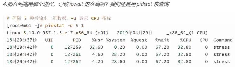 cpu和核心关系，负载_bash_21