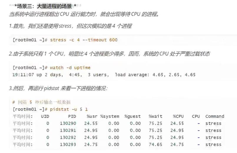 cpu和核心关系，负载_bash_25