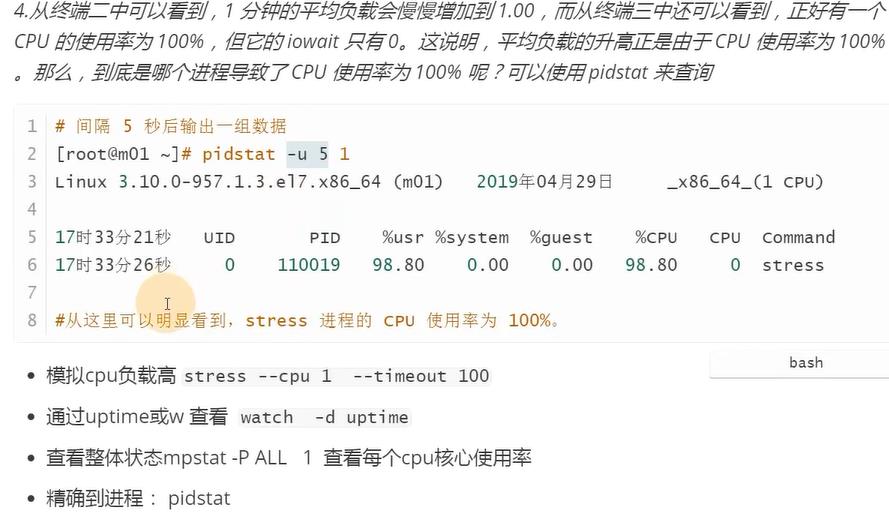 cpu和核心关系，负载_bash_19