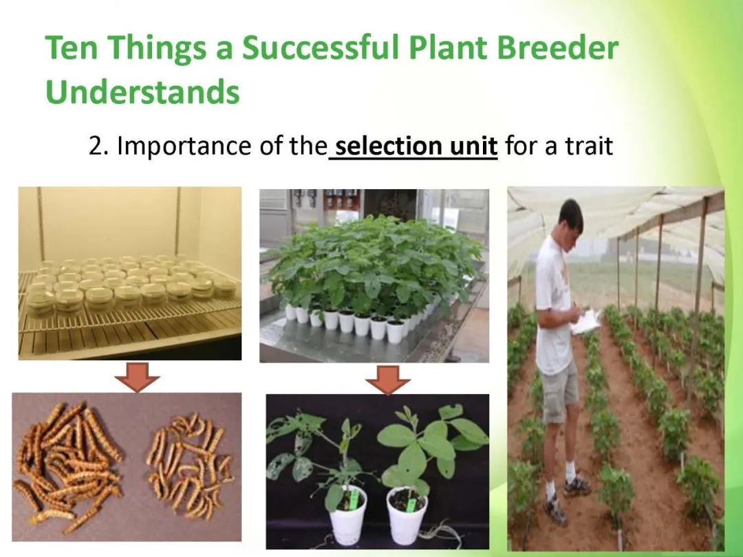 成功植物育种家的十大秘诀_javascript_03