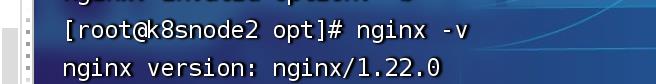 nginx