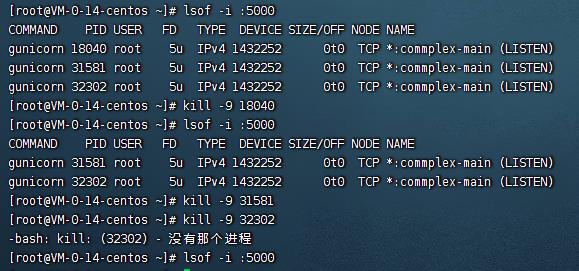 【目标检测】Flask+Docker在服务器部署YOLOv5应用_flask_06