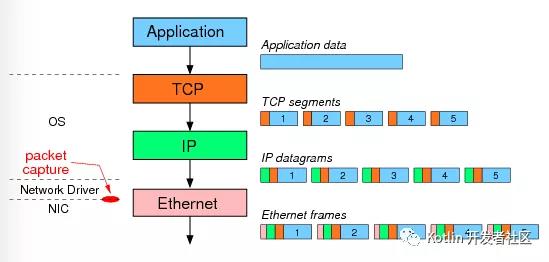 【动画详解】TCP