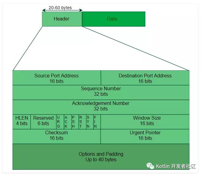 【动画详解】TCP