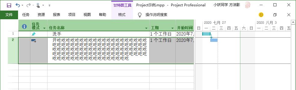 添加备注信息（Project）_选项卡