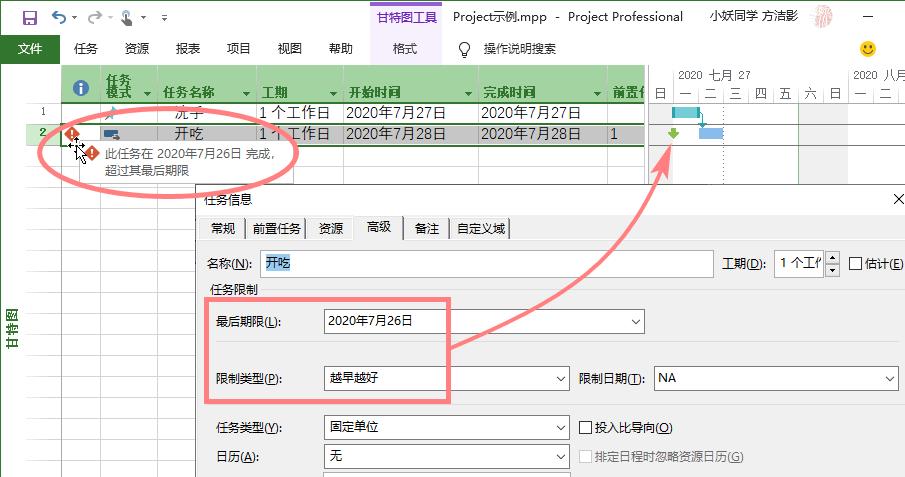 任务信息的高级选项（Project）_任务计划_03