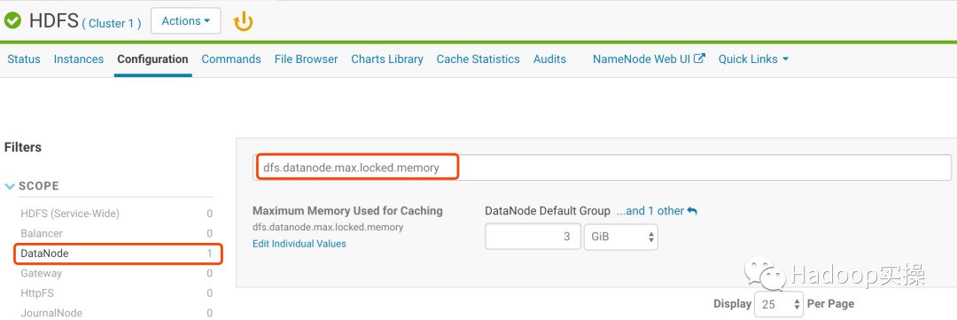 CDH内存调拨过度警告分析_hadoop_10