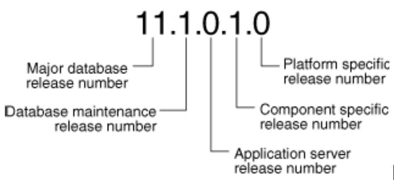 oracle拨云见日第9篇之Oracle10.2.0.1升级11.2.0.4.3_数据库