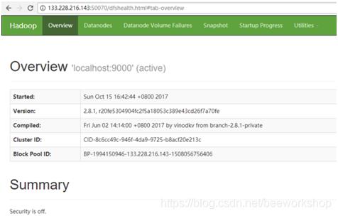 Hadoop伪分布式集群搭建_hadoop_03