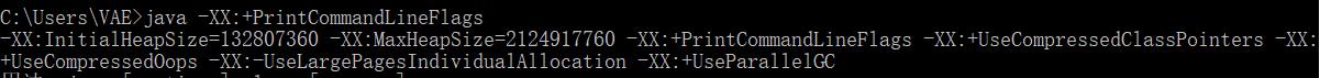Java虚拟机详解（五）------JVM参数_java_04