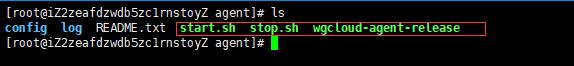 Linux部署的wgcloud-agent怎么启动