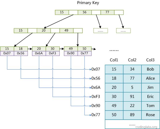 mysql