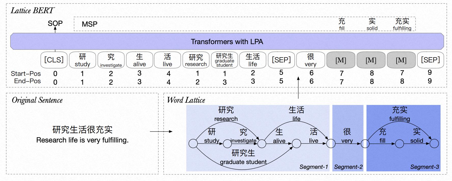 EasyNLP发布融合语言学和事实知识的中文预训练模型CKBERT_语言模型_02