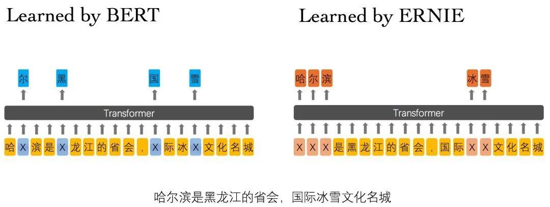 EasyNLP发布融合语言学和事实知识的中文预训练模型CKBERT_深度学习