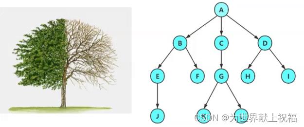 【数据结构(c语言版)】树的概念以及结构_子树