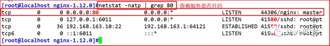 Nginx+Tomcat实现负载均衡、动静分离（脚本方法）_tomcat_04