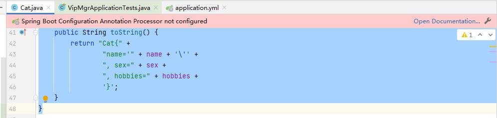 SpringBoot简明教程-yml配置文件详解_java_06