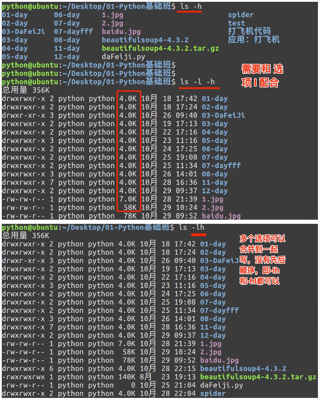 Linux高级-基本命令(一)-笔记_文件名_02