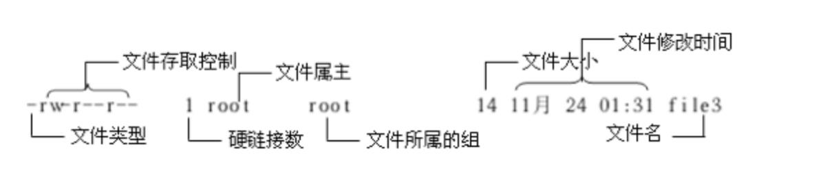 Linux高级-基本命令(一)-笔记_文件名_03