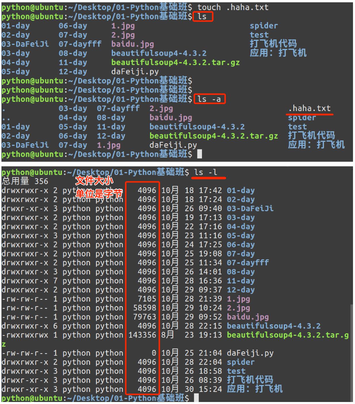 Linux高级-基本命令(一)-笔记_文件名