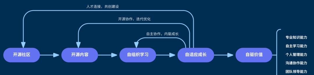 Datawhale团队第七期录取名单！_编程语言_06