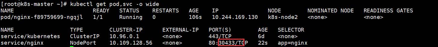 Kubernetes快速实战与核心原理剖析_应用程序_04