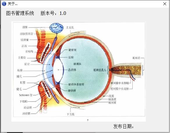 基于PowerBuilder开发的图书管理系统_图书管理系统_23