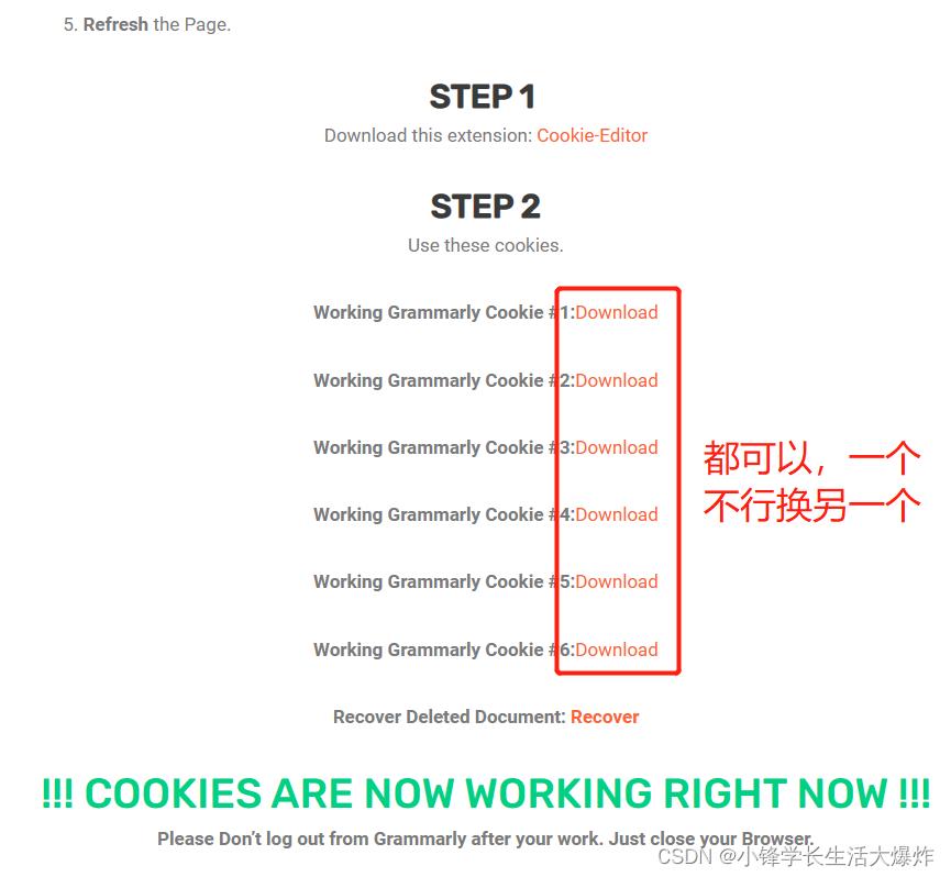 【教程】5步白嫖使用Grammarly