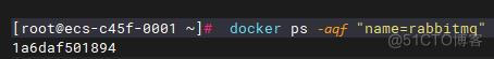 Docker下RabbitMQ下载插件并且安装_RabbitMQ