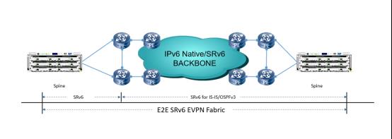 如何使用测试仪开展EVPN