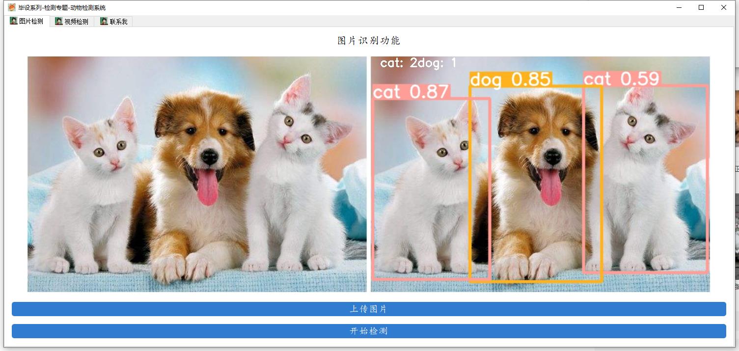 毕设系列-检测专题-基于卷积神经网络的动物识别系统_pyqt5