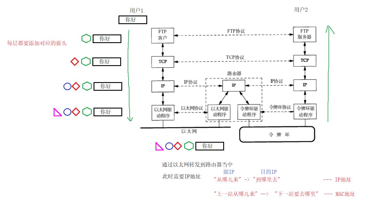 【网络】网络发展，网络协议，网络传输流程，地址管理_TCP_18