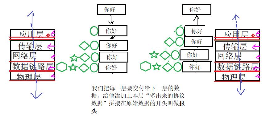 【网络】网络发展，网络协议，网络传输流程，地址管理_数据_11