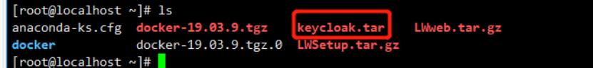 乐维监控keycloak单点登录实操（上篇）_docker_03