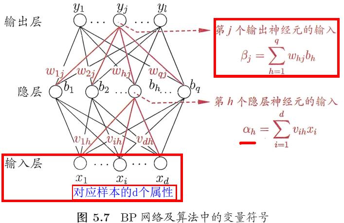 西瓜书笔记_性能度量