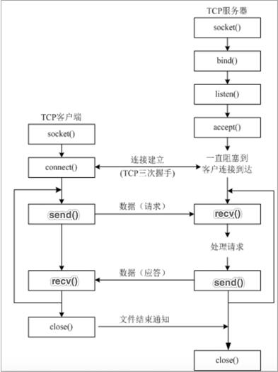 Python网络编程之TCP网络应用程序开发流程_套接字