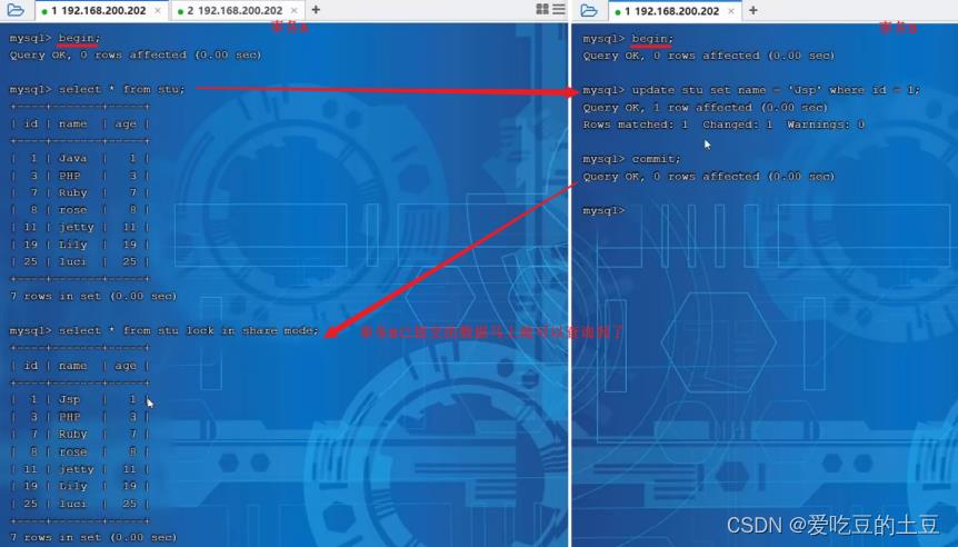 MySQL高级【MVCC原理分析】_字段