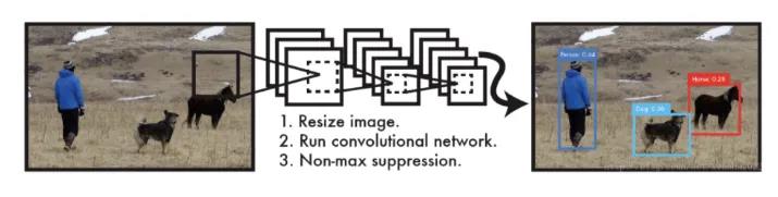如何入门yolo目标检测？_目标检测_02