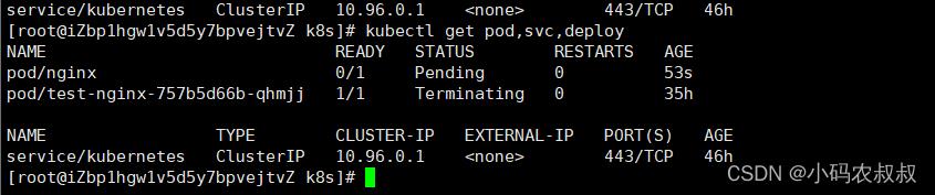 【云原生kubernetes】k8s中pod使用详解_k8s的pod_03