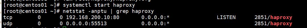 配置haproxy负载均衡群集_Nginx_51