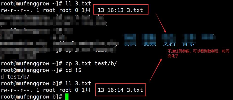 linux基本命令--cp_软链接_02