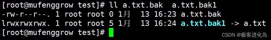 linux基本命令--cp_目标文件_03